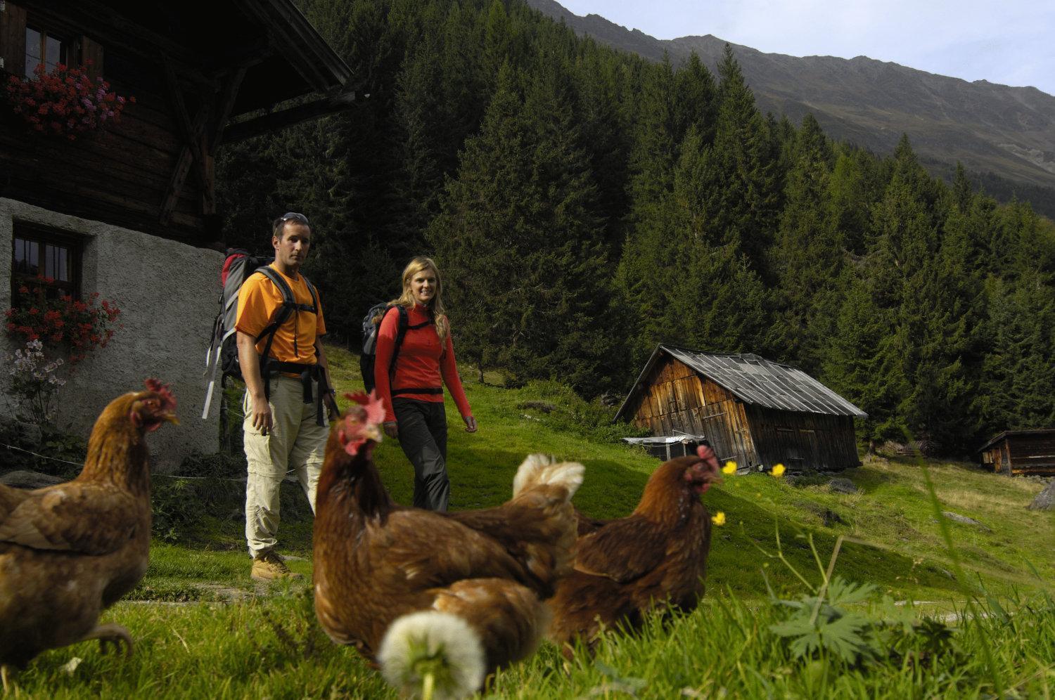 Aparthaus Camping Stubai นอยชติฟ อิม ชตูไปทัล ภายนอก รูปภาพ